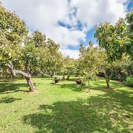 Homeforguest Cosy Rural Flat El Romero With Large Gardens アパート *