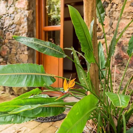 Apartmán Homeforguest Cosy Rural Flat El Romero With Large Gardens Tacoronte