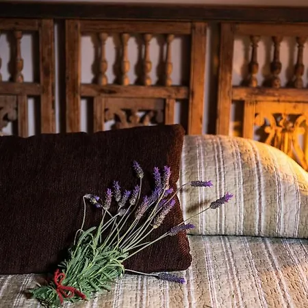 Homeforguest Cosy Rural Flat El Romero With Large Gardens タコロンテ